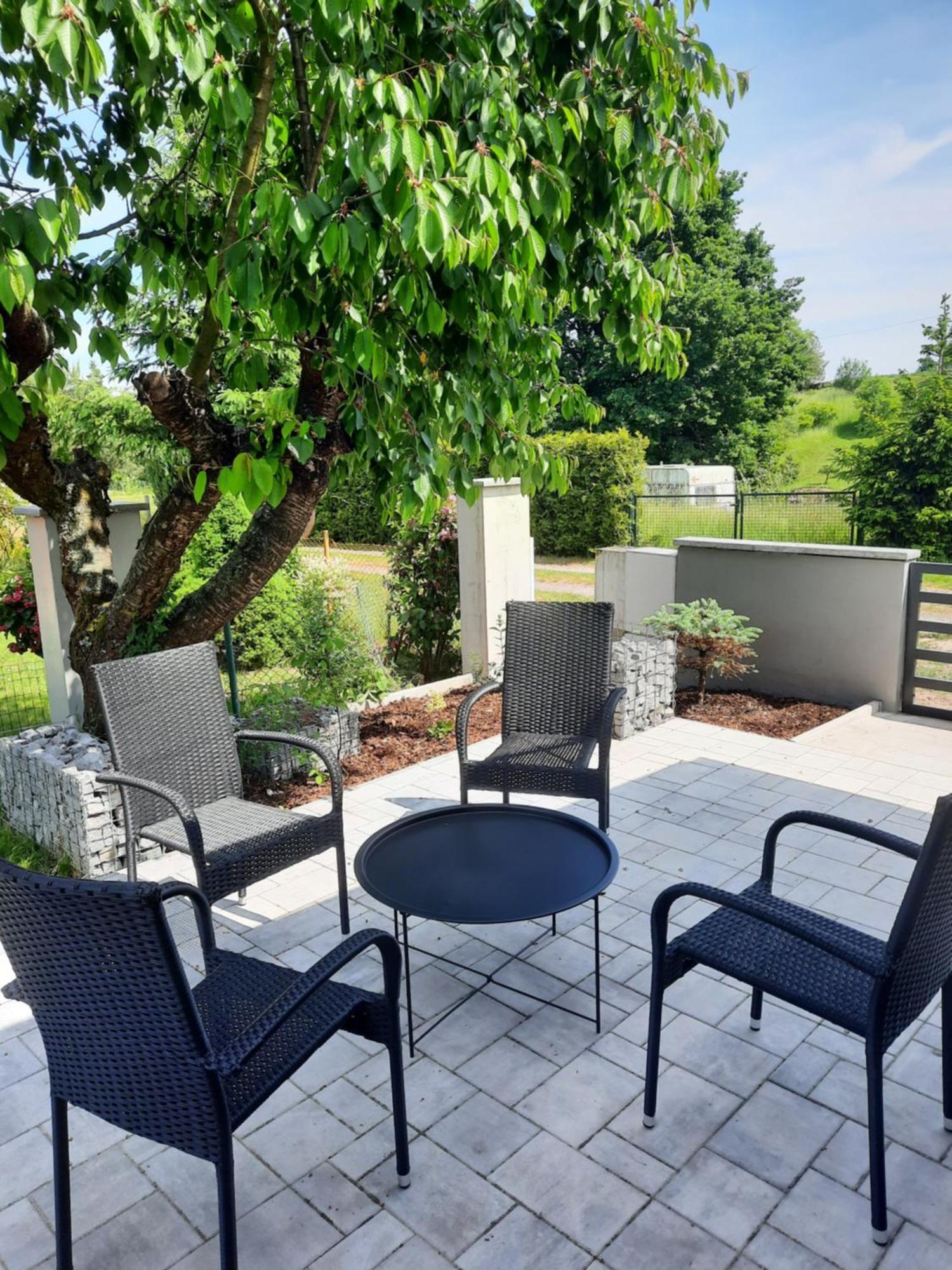 Bungalov Na Brehu Labe S Vlastnim Molem Pardubice Exterior foto